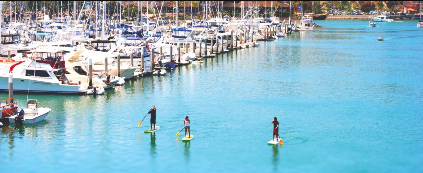Stand up paddle board rentals