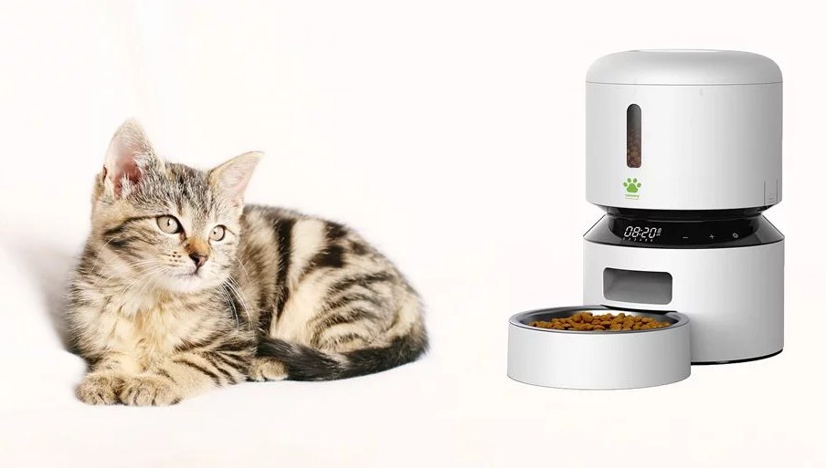 Automatic Cat Feeder And Water