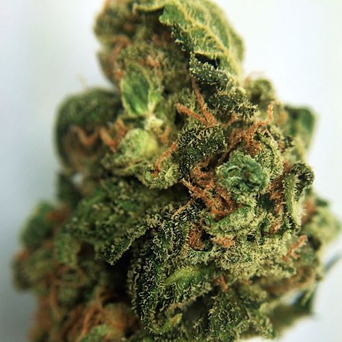 420 mail order uk
