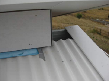 Pre purchase pest inspection