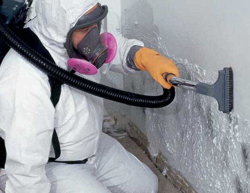 Mold Remediation Services in La Crescenta, CA