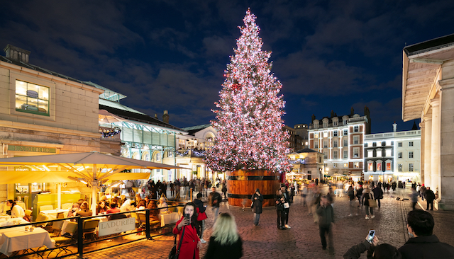 How to Choose the Perfect Christmas Tree