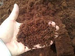 Coco Coir Market Size, Share, Growth, Opportunities and Global Forecast to 2028