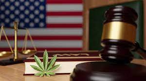 Legal Marijuana Market 2022 | Industry Demand, Fastest Growth, Opportunities Analysis and Forecast To 2028