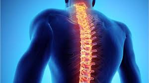 Global Spinal Fusion Devices Market 2022 - Top Key Players Analysis Report Till 2028