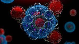 GMP Cytokines Market Size, Share, Regional Overview and Global Forecast to 2028