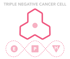 Global Triple Negative Breast Cancer Treatment Market Report, Latest Trends, Industry Opportunity & Forecast to 2028