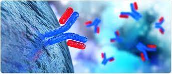 Global Biotinylated Polyclonal Antibody Market Report 2022 with Analysis of COVID-19 Impact Analysis