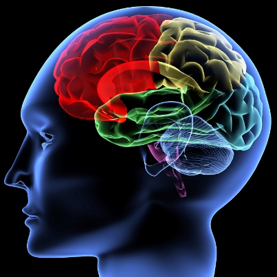 Neuroscience Market Analysis, Trends & Outlook Report 