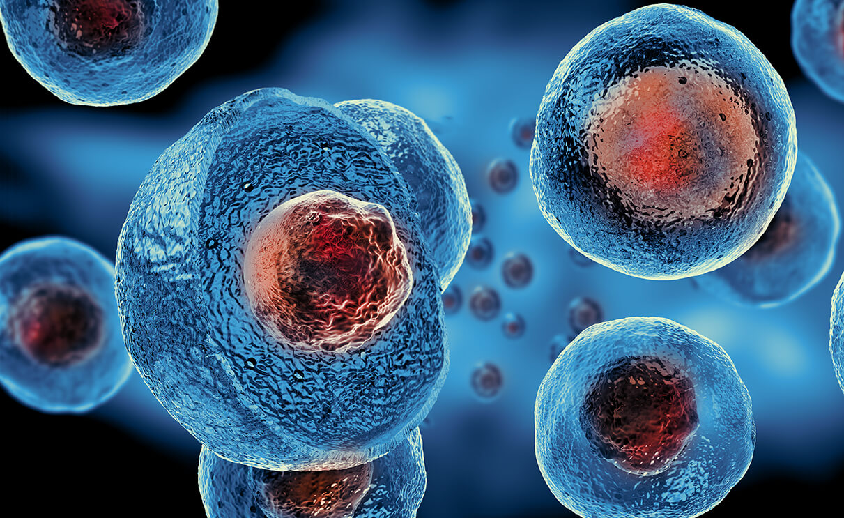 Amniotic Products Market 2020 Major Key Players and Industry Analysis Till 2028