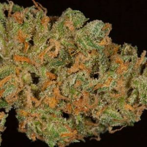 Buy Marijuana Online