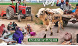 Village culture