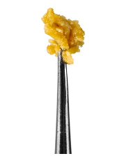 Buy marijuana concentrates UK