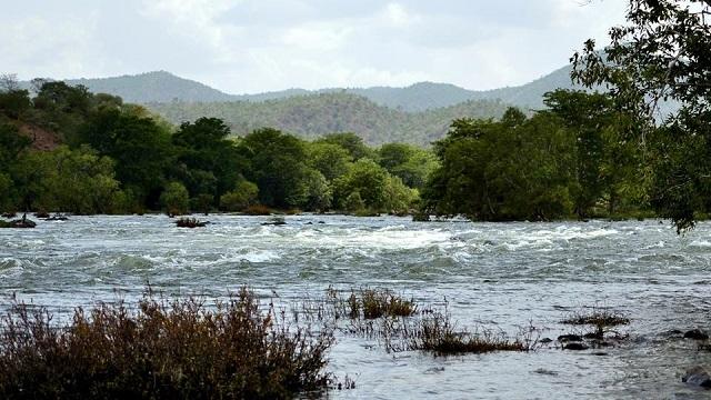 Best team outing ideas