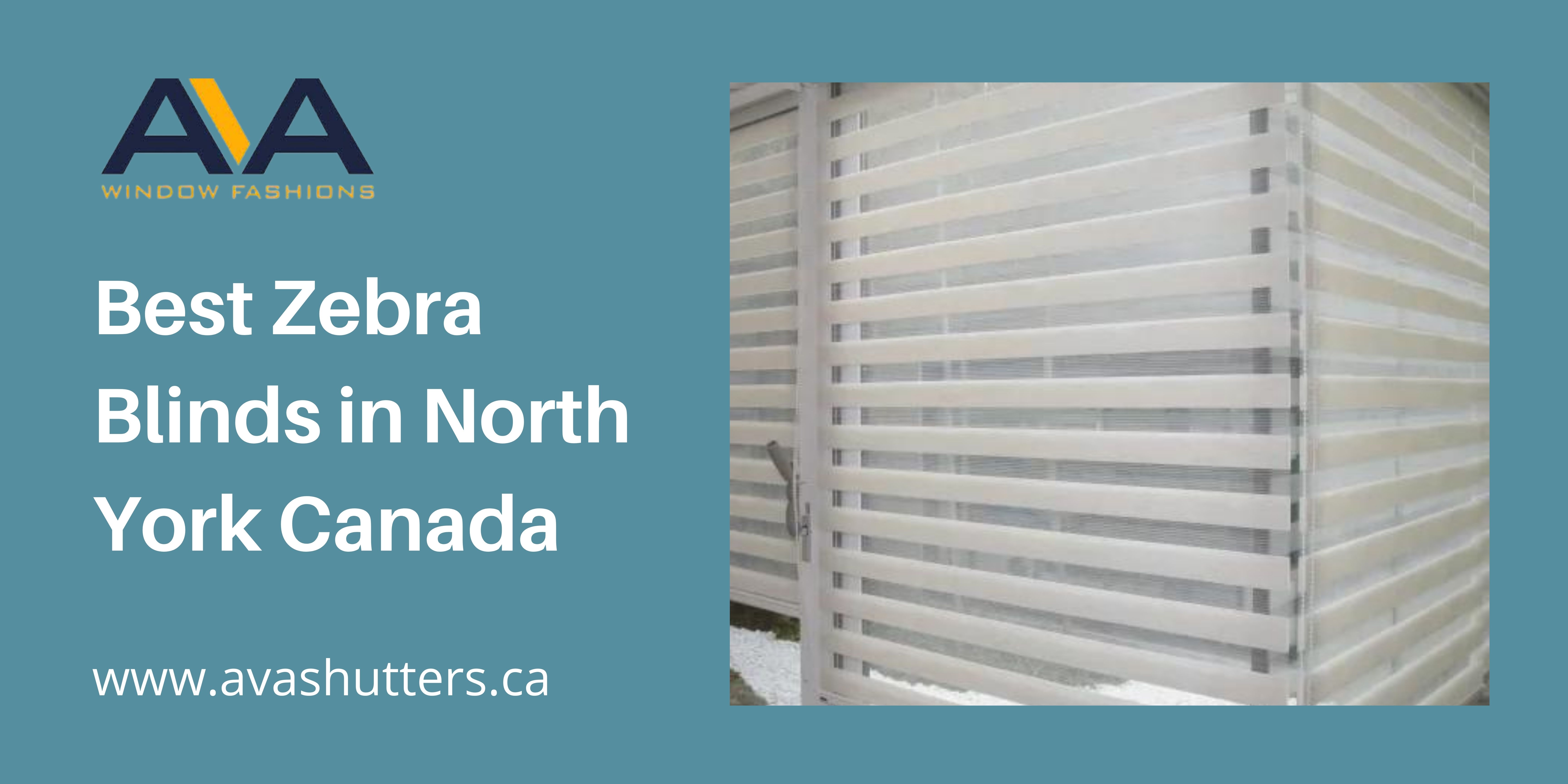 Best Zebra Blinds in North York Canada