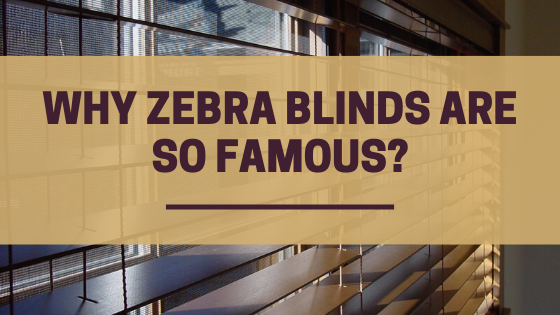 Why Zebra Blinds are so famous?