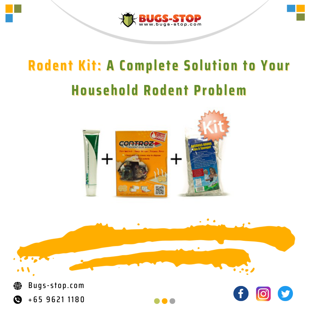Rodent Kit is the Full Control Solution to Your Rodent Problem in Singapore