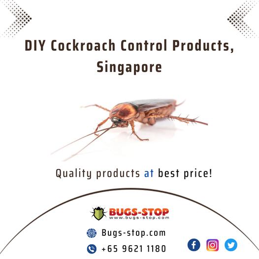 Cockroach Problem and Effective Solutions for Home and Commercial Places