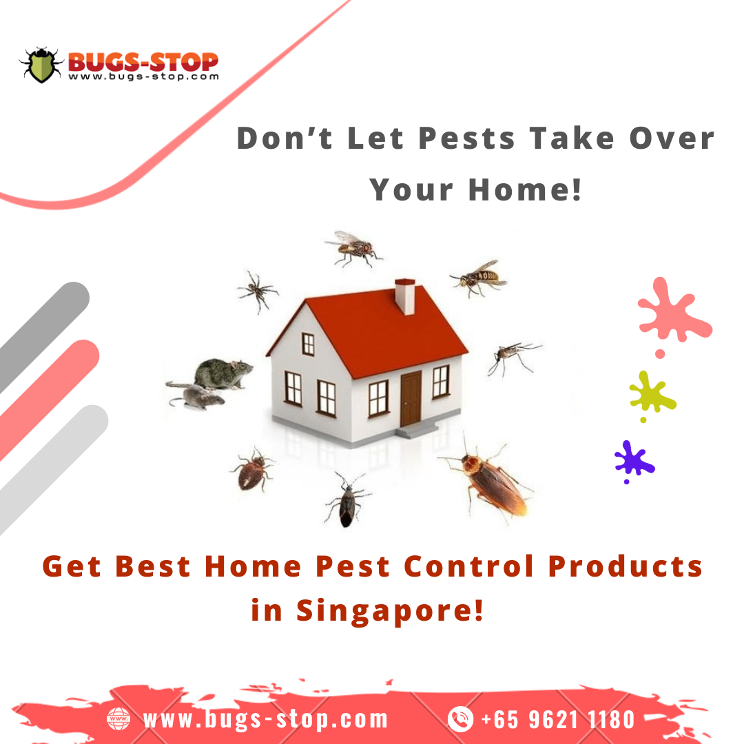 Combating Pest Infestations with BugsStop Pest Control Products in Singapore