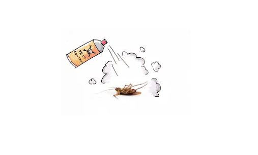 How to Safeguard Your Home with DIY Pest Control Products in Singapore?