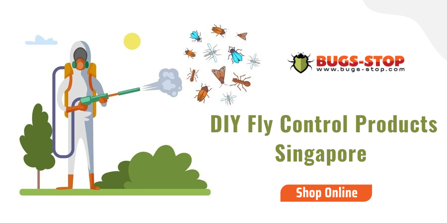 How to Choose Eco-Friendly Fly Control Products in Singapore