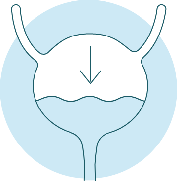 Cystitis: Causes, Symptoms and Treatment Medications.