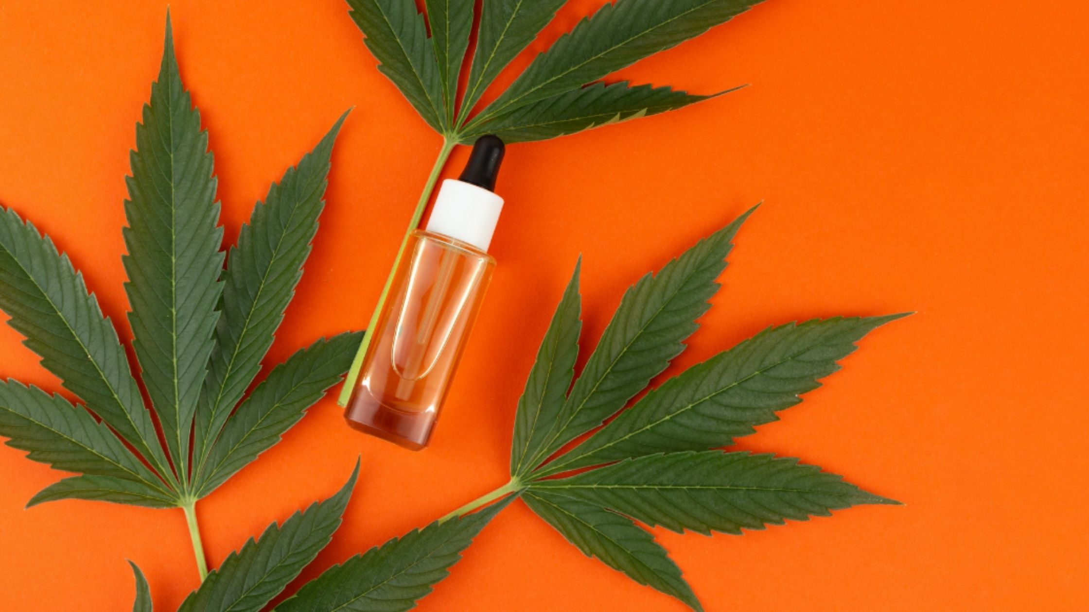 Hemphealth | El CBD tiene muchos beneficios para la salud