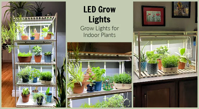 What are the Most effective Ways to Utilize LED Grow Lights for Indoor Growing?