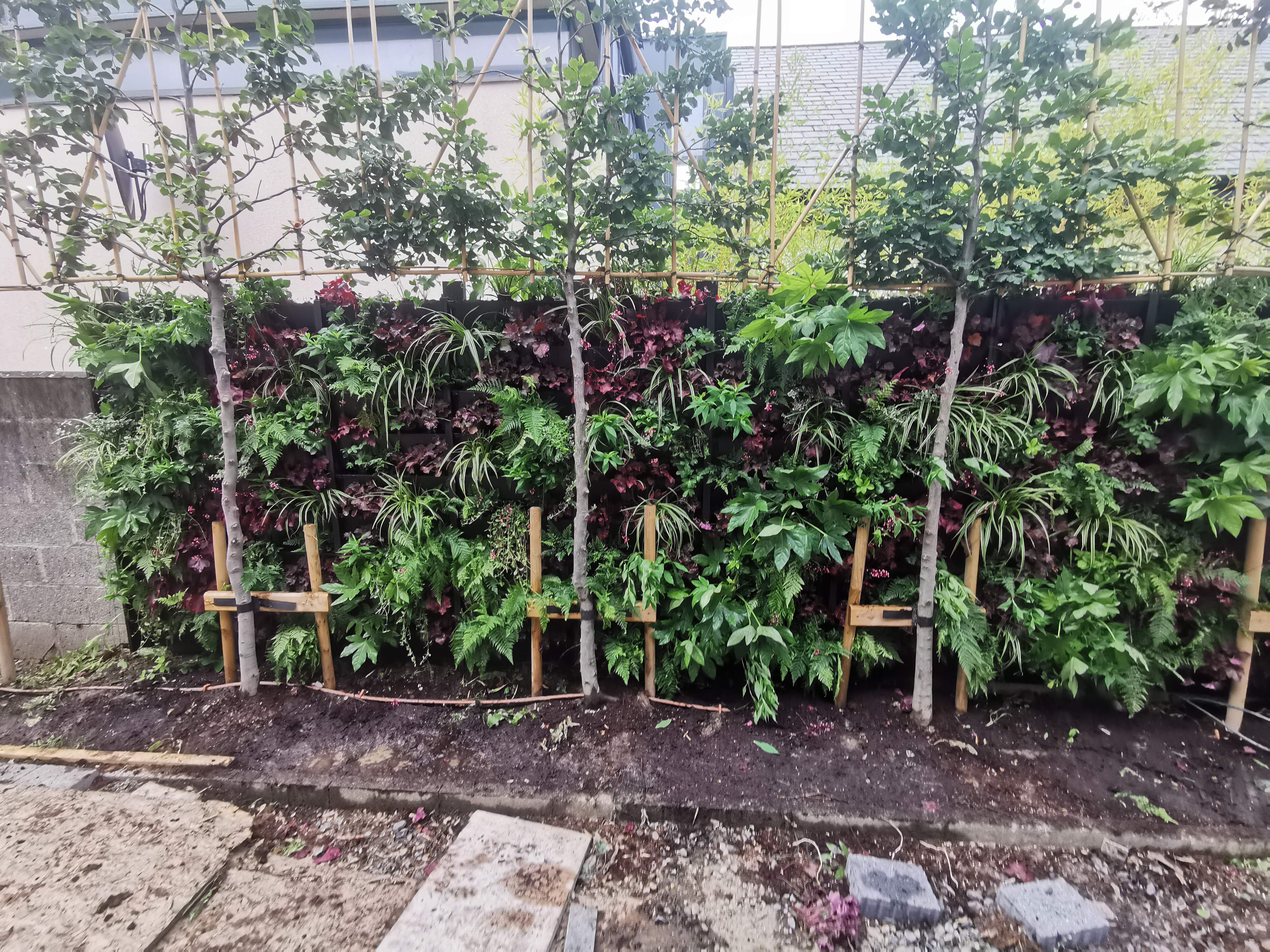 Vertical gardens