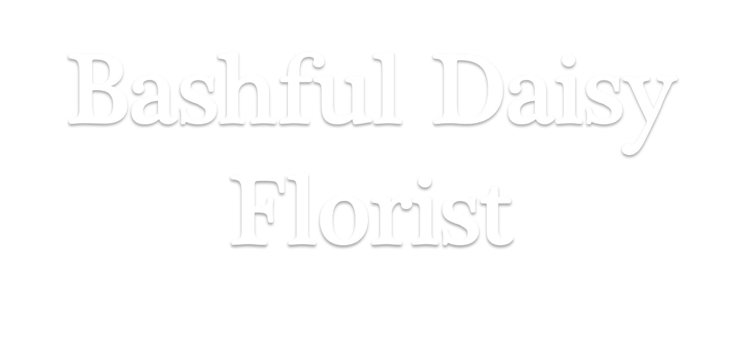 Bashful Daisy Florist