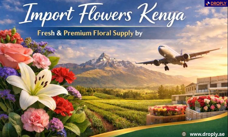 Import Flowers Kenya | Fresh & Premium Floral Supply by Droply