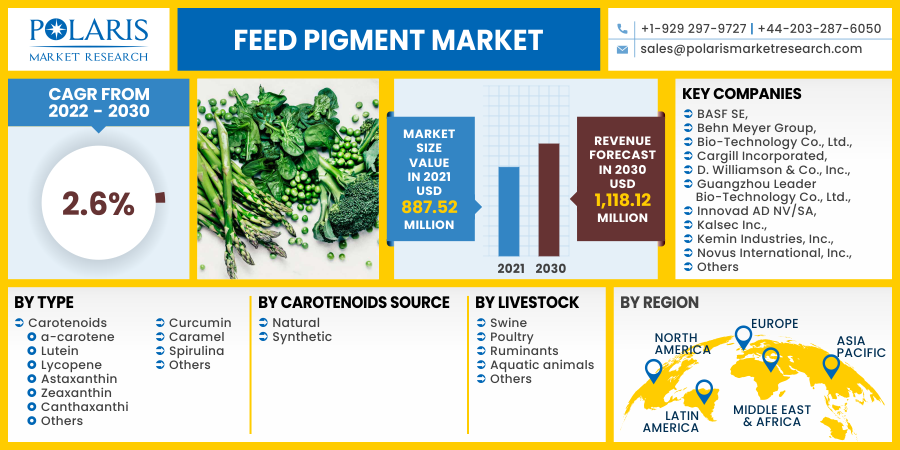 Feed Pigment Market 2023-2032 Industry Updates, Future Business Prospects and Future Investments