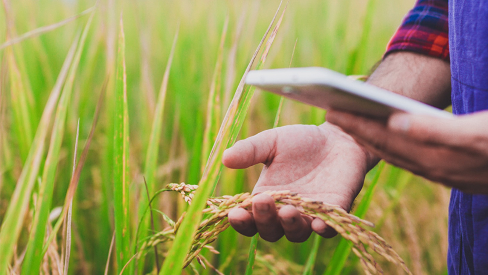 B2B E-commerce in Agriculture Market Size from 2022 to 2030