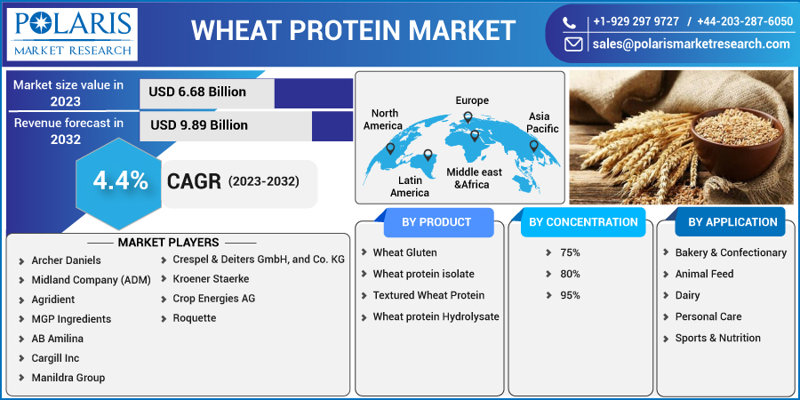 Wheat Protein Market Size 2023 Statistics and Geographical Analysis by Forecast to 2032