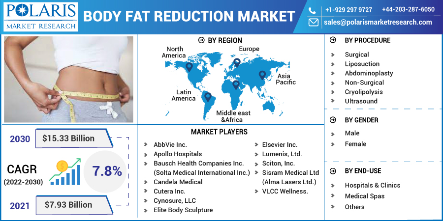 Body Fat Reduction Market Statistical Model, Competitive Landscape and Forecast