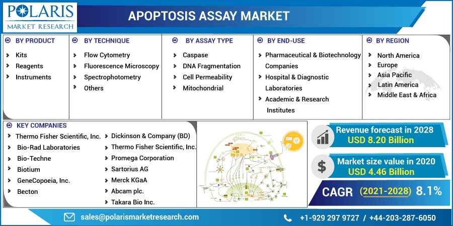 Apoptosis Assay Market Analysis By Type, Top Vendors and Growth Rate Through 2032