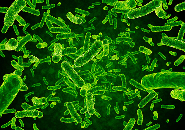 Biocides Market Drivers, Current Growth and Forecast 2030