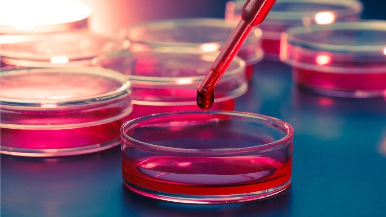 Cell Culture Market- Industry Insights, Revenue & Forecast To 2022-2030