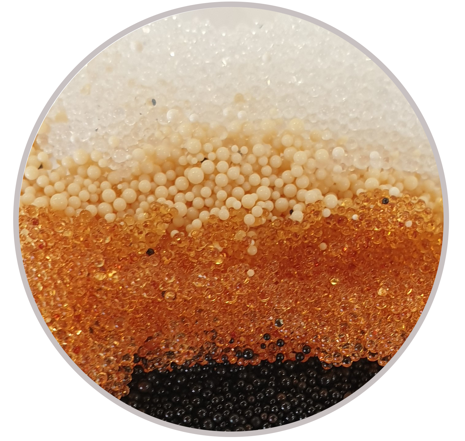 Chromatography Resin Market Scope, Overview, Opportunities And Forecast to 2030