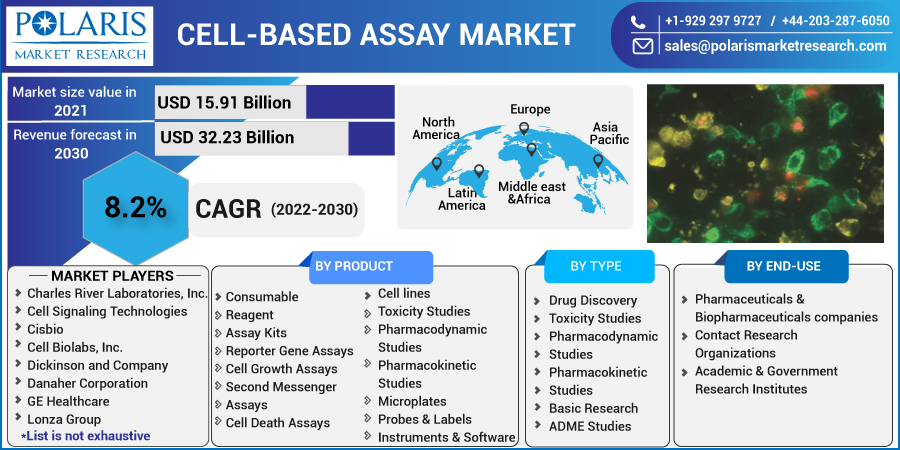 Cell-based Assay Market Size & Share, Key Opportunity, Application & Forecast 2023-2032