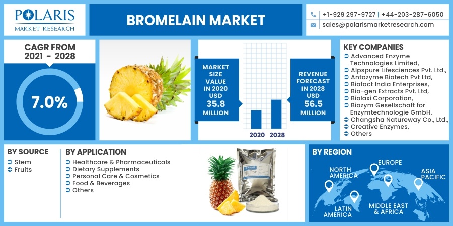 Bromelain Market Share, Statistical Overview, Top Key Players and 2030 Forecast