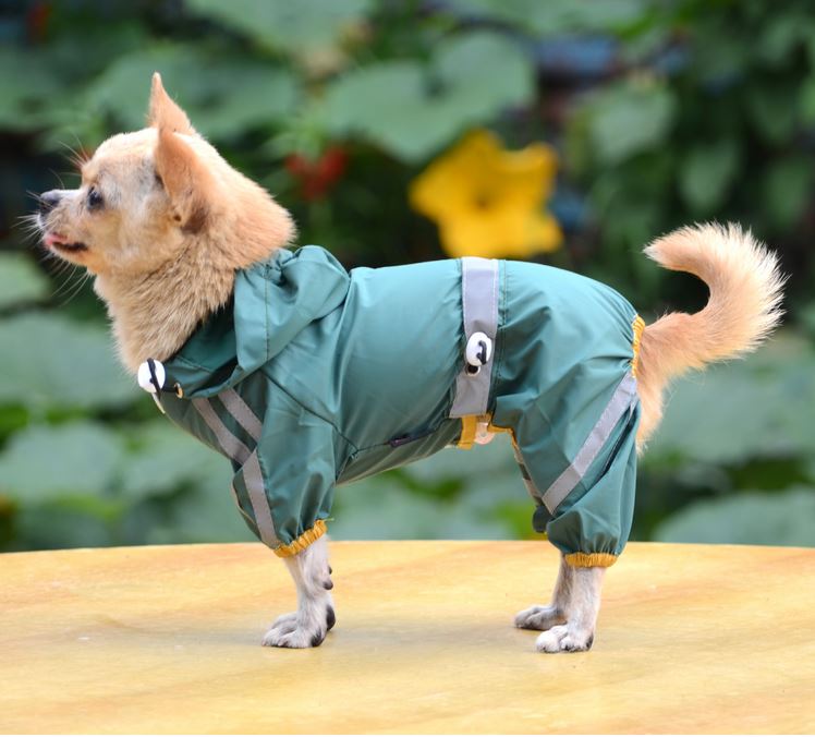 Pet clothing industry statistics is Anticipated to Grow at a Rate of 5.0% CAGR from 2022 to 2032 | FMI