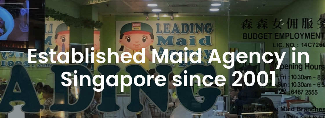 What does a maid agency in Singapore provide?