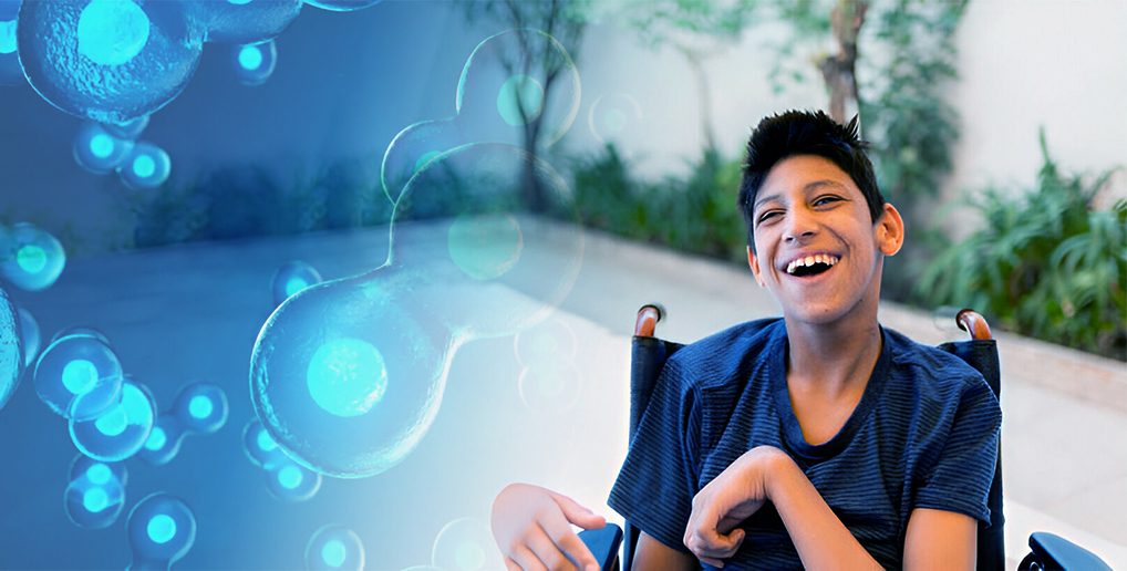 Stem Cells For Cerebral Palsy: Developments And Possible Advantages