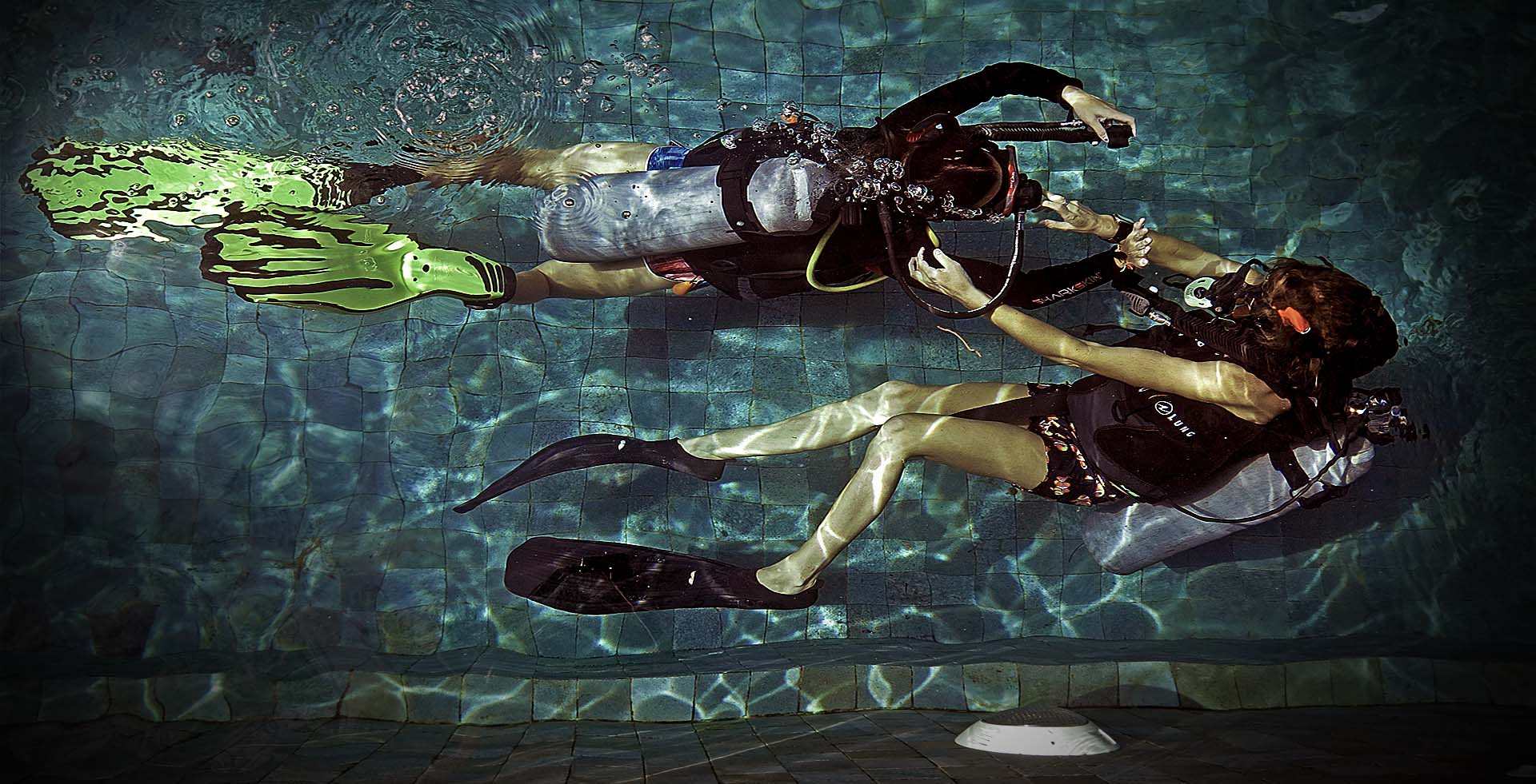 Padi Divemaster Training 