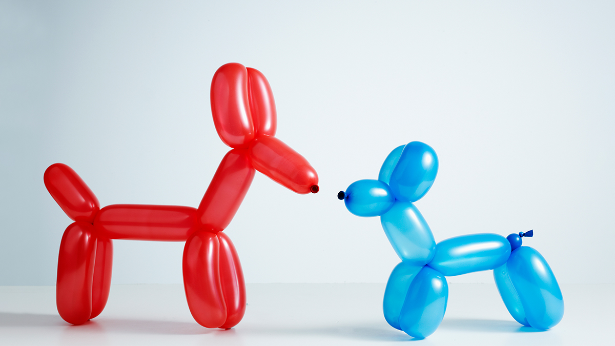 Achieving Success Through Mentor Relationships