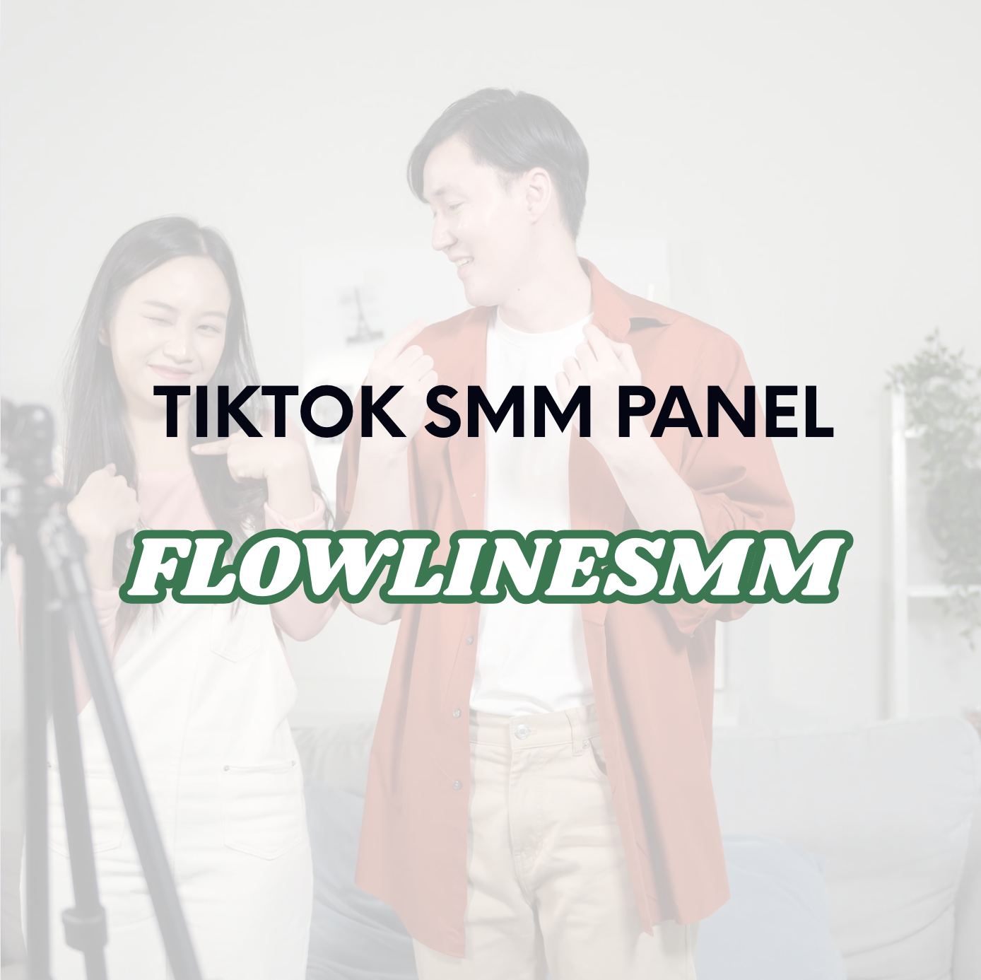 TikTok SMM Panel