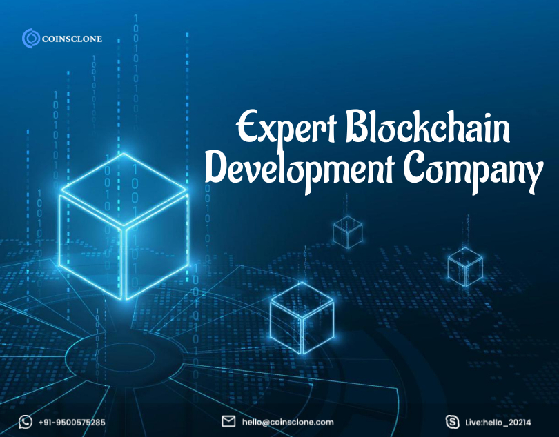 Empower Your Business with Expert Blockchain Development Services