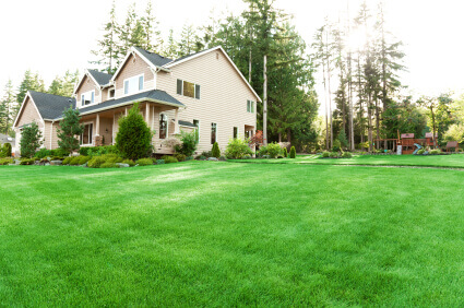 6 MAJOR BENEFITS OF GREEN PEST CONTROL FOR YOUR HOME IN 2023