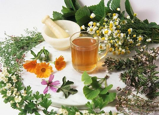 Pharmacies homeopathic